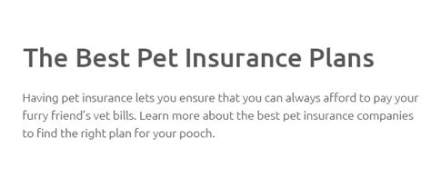 emergency pet insurance no waiting period.insquoteslk.com.